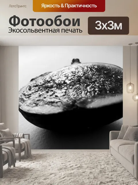Фотообои Рис