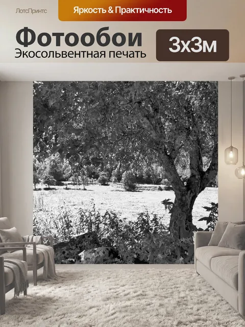 Фотообои Дерево