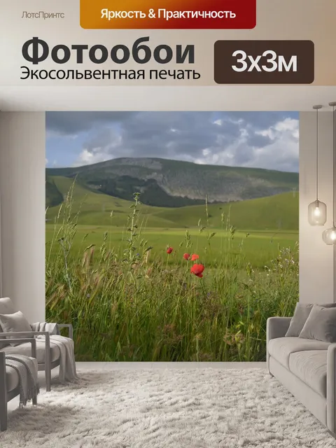 Фотообои Мак