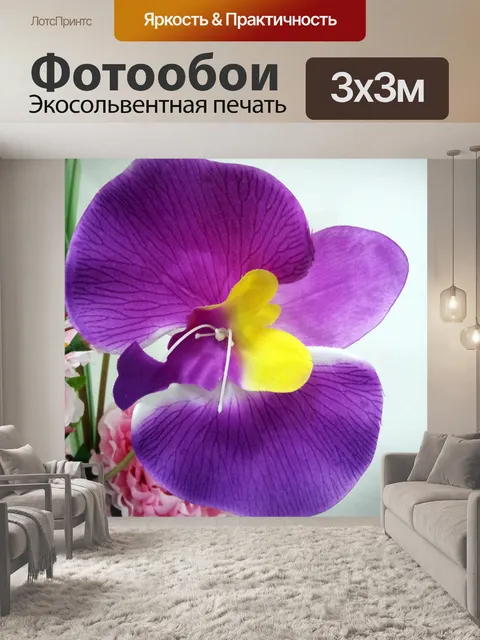Фотообои исчезать цветок орхидеи фиолетовый