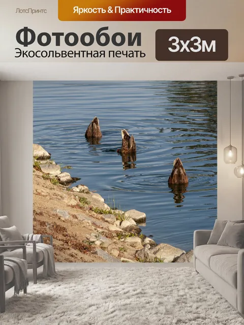Фотообои Дак Bottoms Up