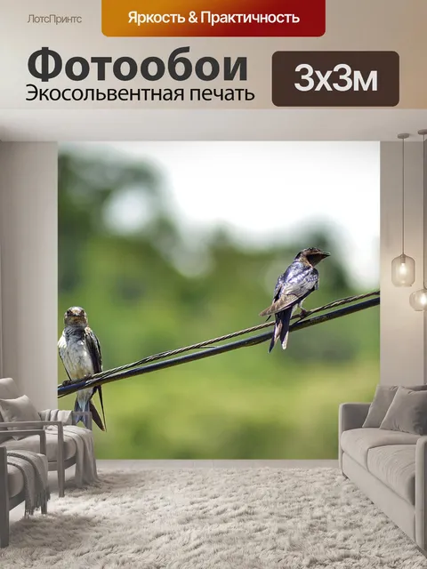 Фотообои Птицы
