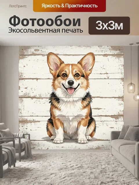 Фотообои Весёлый корги на фоне досок