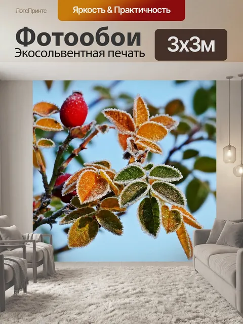 Фотообои Шиповник