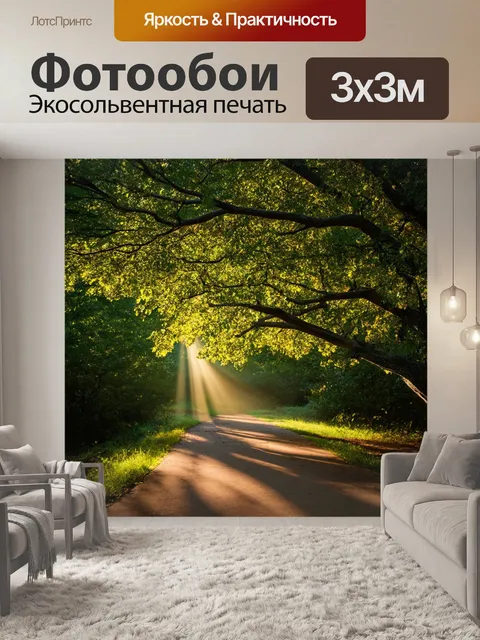 Фотообои дерево на тропинке в густом лесу, создающее мерцающий свет через листья