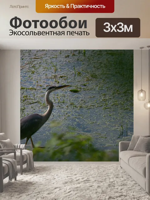 Фотообои Цапли