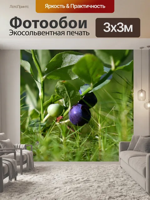 Фотообои Ягоды