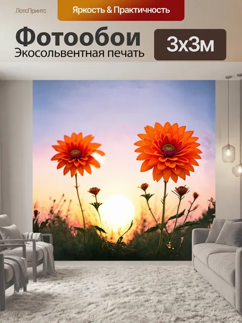 Фотообои на фоне вечернего заката