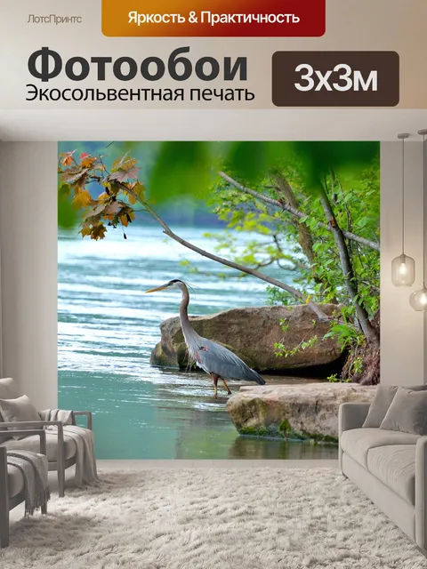 Фотообои Большая голубая цапля