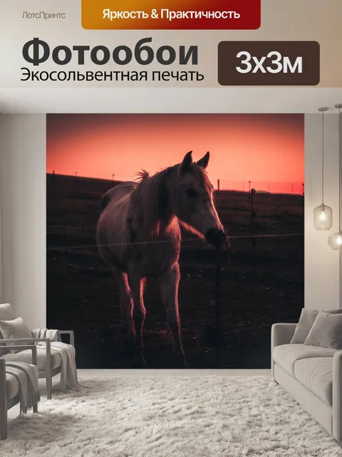Фотообои Лошадь