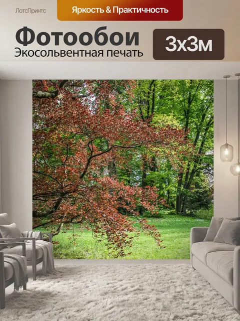 Фотообои Парк