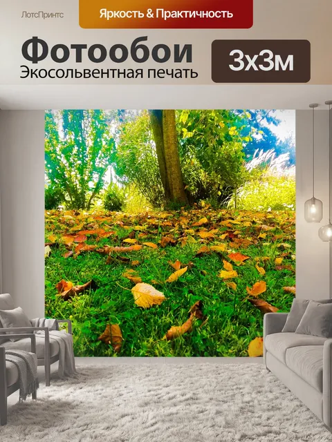 Фотообои Падение