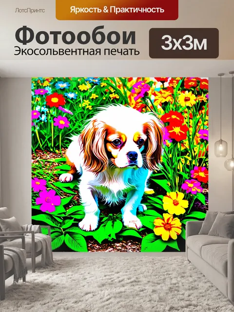 Фотообои изобразите белого кавалера кинг чарльза