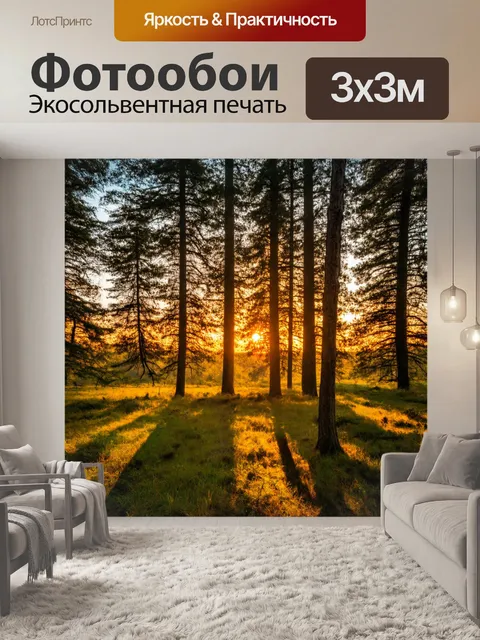 Фотообои закат в глухом лесу, уютная тишина, мудрые деревья, вечный покой