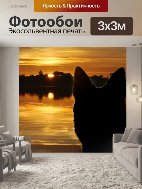 Фотообои Пастушья собака
