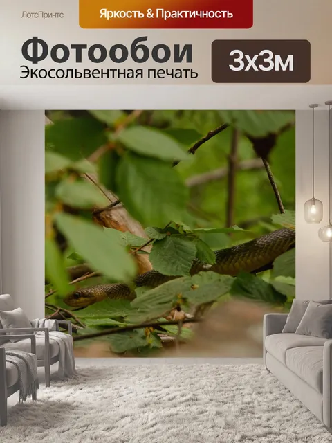Фотообои Линия