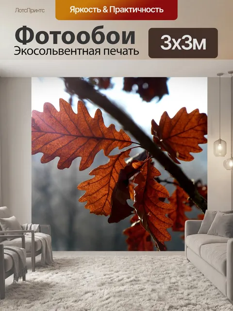 Фотообои Свет