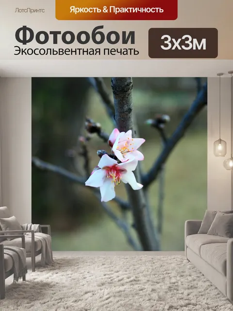 Фотообои Фрукты дерево цветет