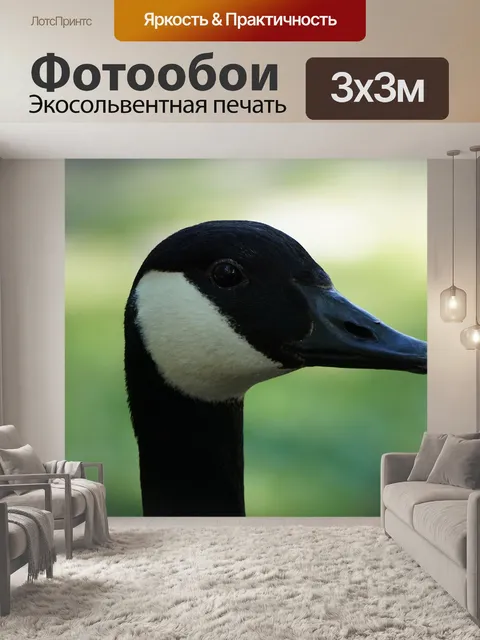 Фотообои Гусь