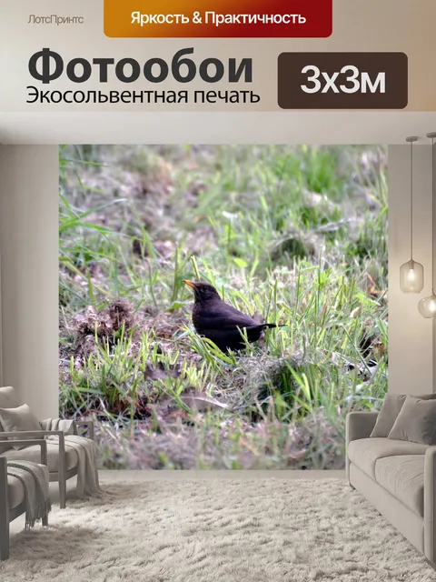 Фотообои Мерле в поле