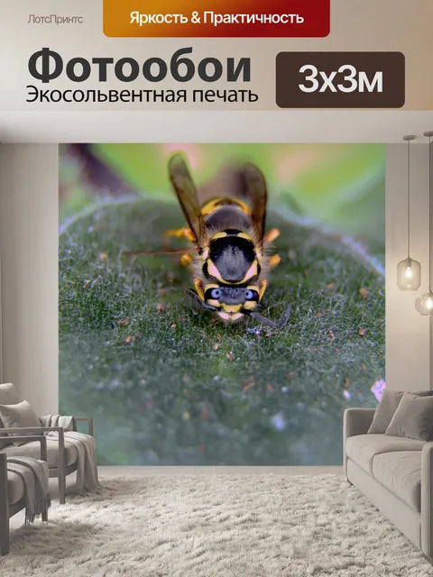 Фотообои Цветок