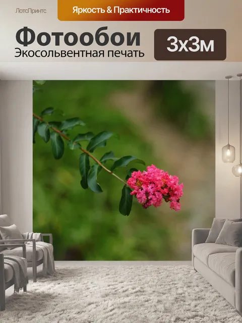 Фотообои Цветы