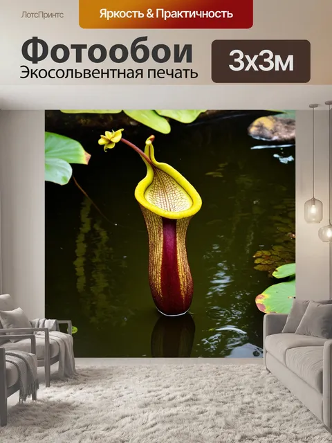 Фотообои непентес, растущий рядом с прудом в ботаническом саду будапешта, отражая свои формы в воде
