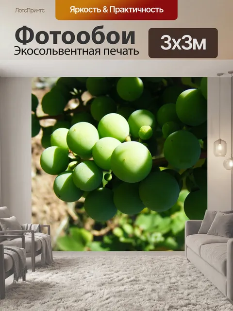 Фотообои Природа