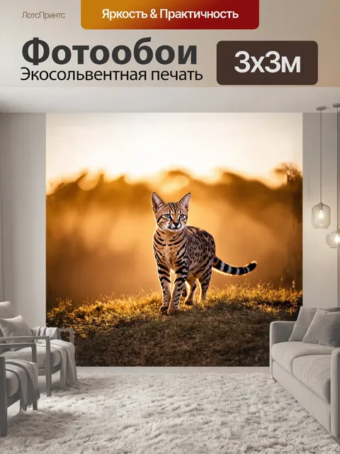 Фотообои сервал, гарантируя внимание своим грациозным телом, стоящий на высоком травянистом холме, окруженный…