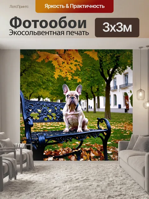 Фотообои прекрасный французский бульдог