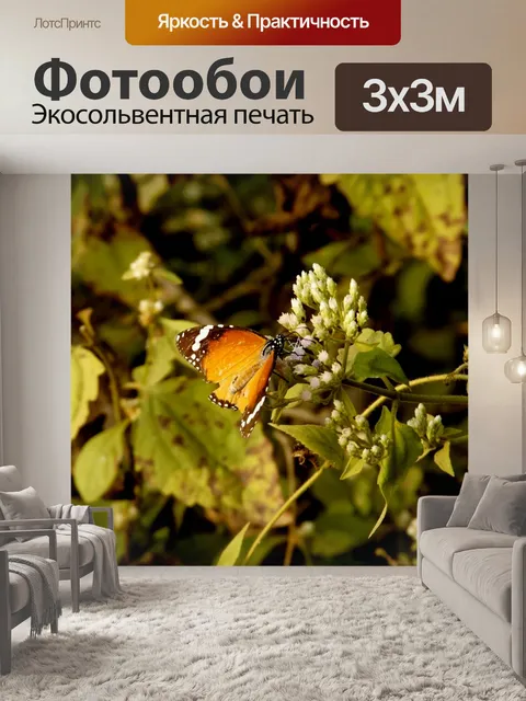 Фотообои Бабочка
