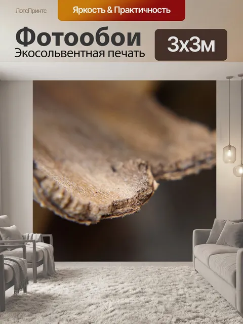Фотообои Лес