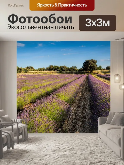 Фотообои Лаванда