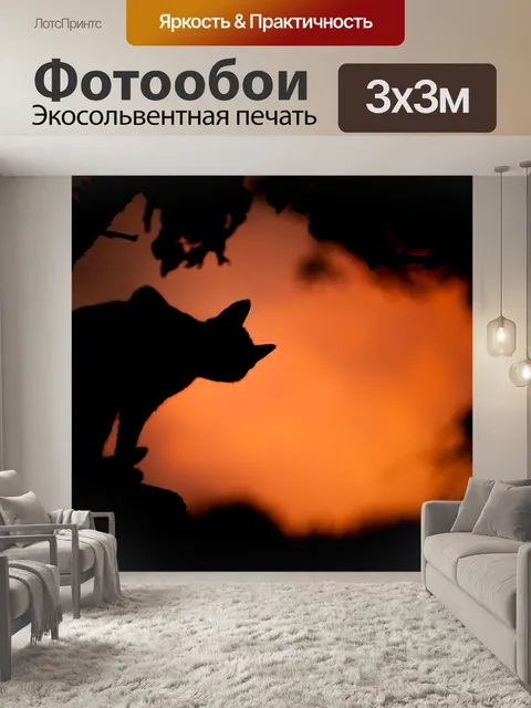 Фотообои Кошка
