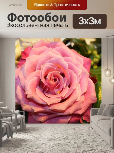 Фотообои Роза