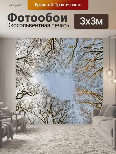 Фотообои Деревья