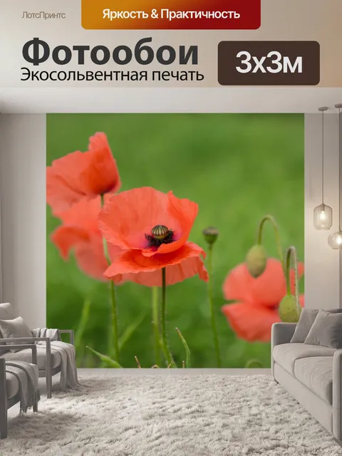 Фотообои Красный мак
