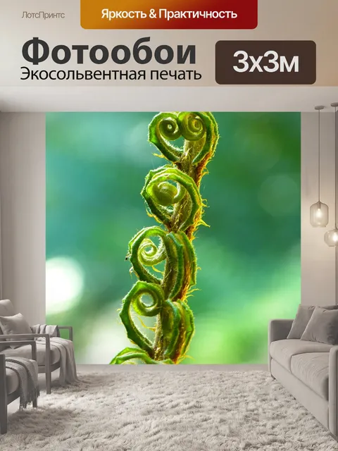 Фотообои Папоротник