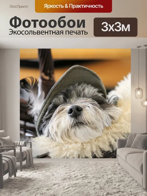 Фотообои Собака