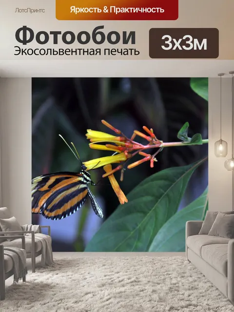 Фотообои Бабочка монарх на желтый цветок