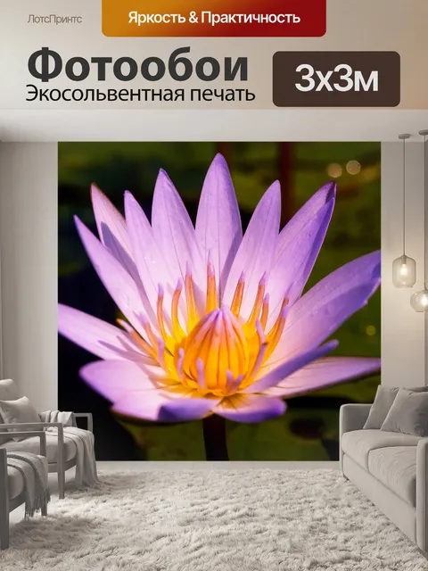 Фотообои красивый цветок лотоса