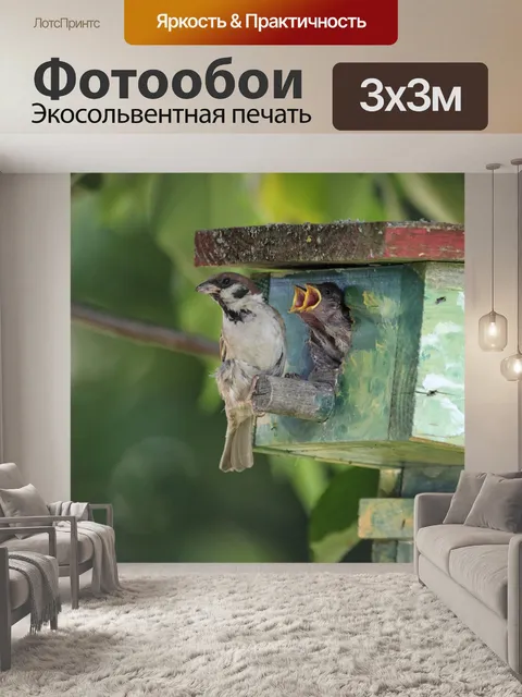 Фотообои Подача