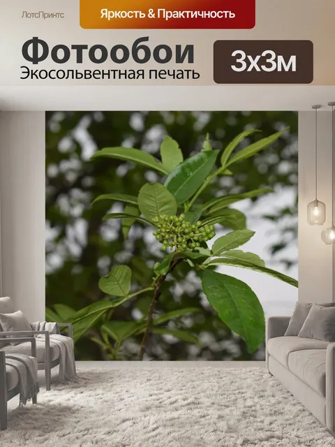 Фотообои Дерево