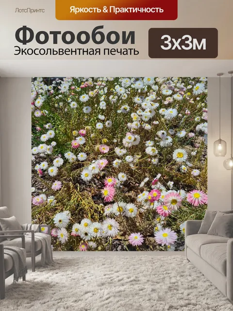 Фотообои Белый и розовый Everlastings