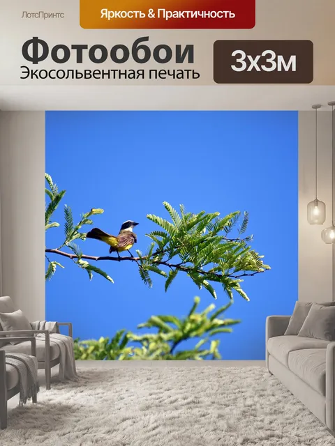 Фотообои Птицы