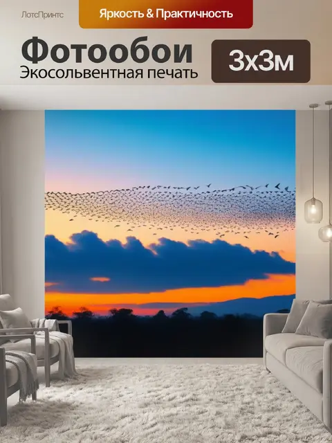 Фотообои птицы, раскрашивающие небо на рассвете