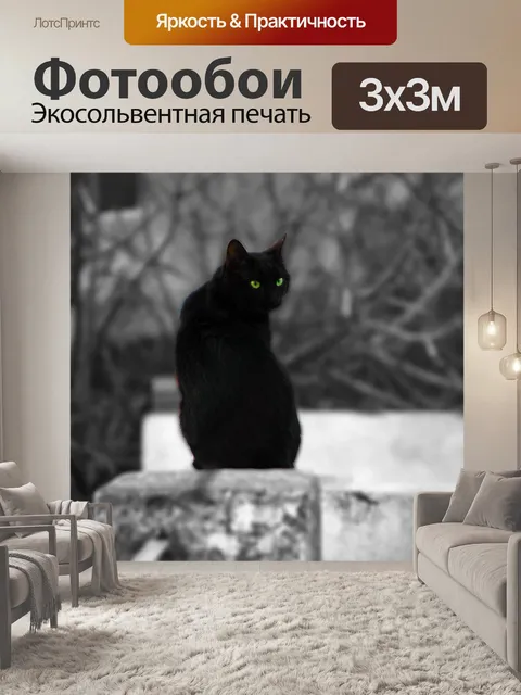 Фотообои Гато
