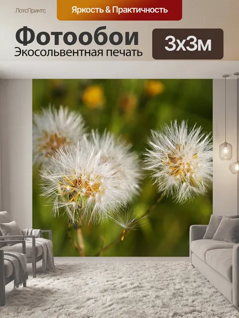 Фотообои Одуванчики