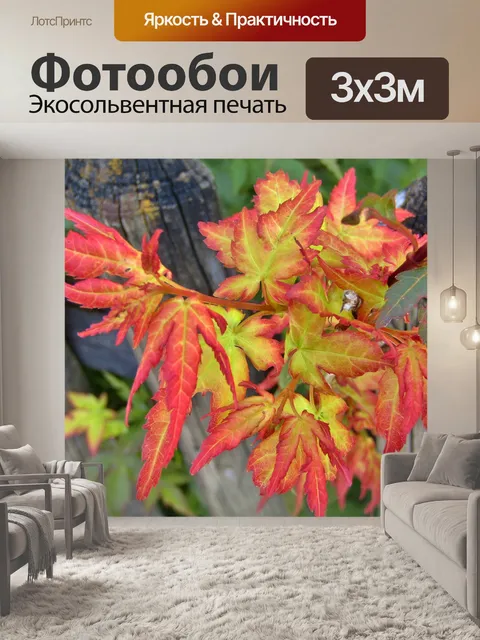 Фотообои Листья