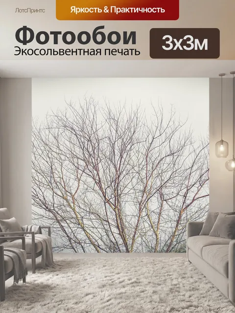 Фотообои Деревья
